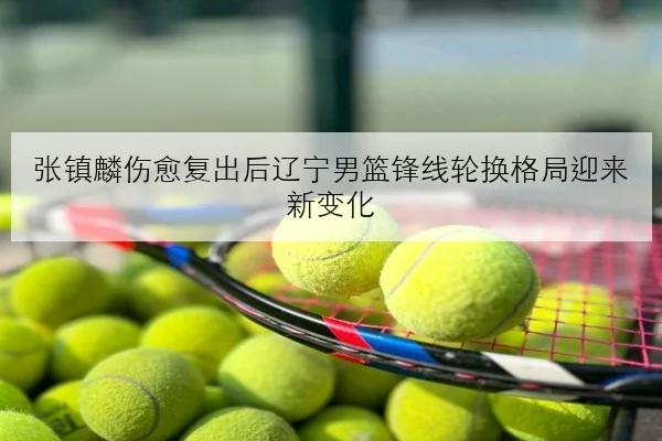 张镇麟伤愈复出后辽宁男篮锋线轮换格局迎来新变化